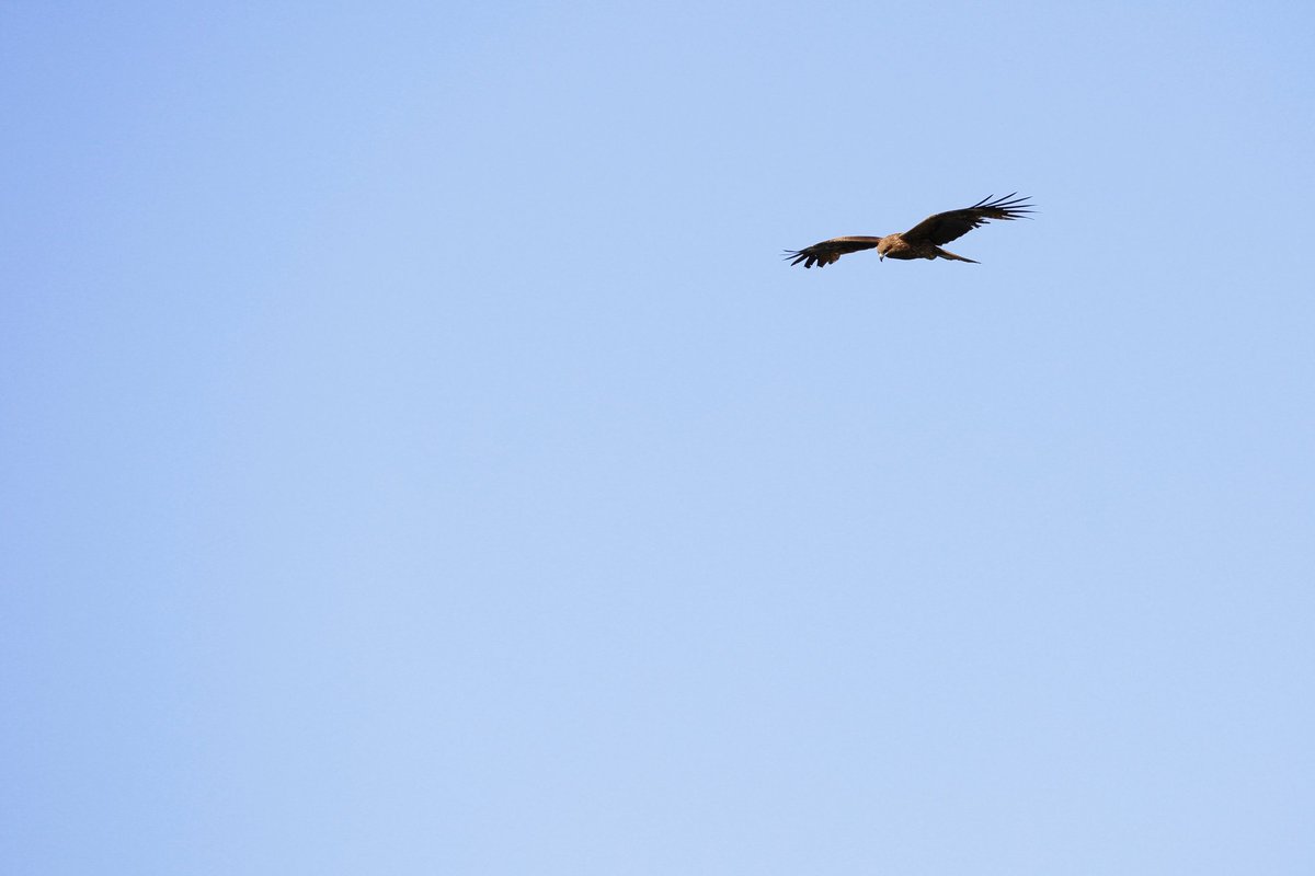 はやぶさ Hayabusa ロケ地 撮影秘話 最新情報まとめ みんなの評価 レビューが見れる ナウティスモーション 5ページ目