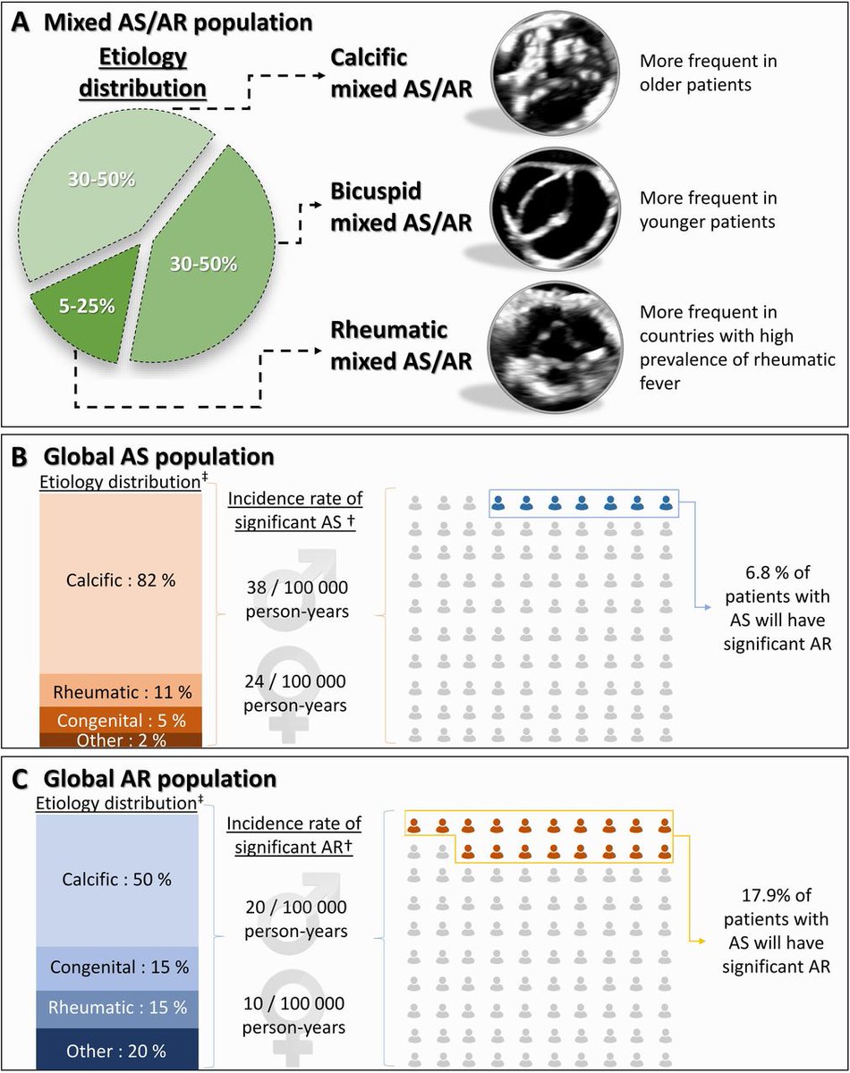 Mixed aortic stenosis and regurgitation: a clinical conundrum

heart.bmj.com/content/early/…