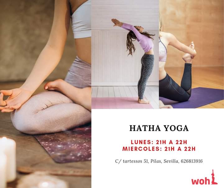 CentroWohl's tweet photo. Buenos días!

#HathaYoga
Lunes y miércoles de 21h a 22h.

Todas nuestras clases, online y presencial.

Más información al 626813916, estamos en C/Tartessos 51, #Pilas #Sevilla https://t.co/rSSbtEhtgQ