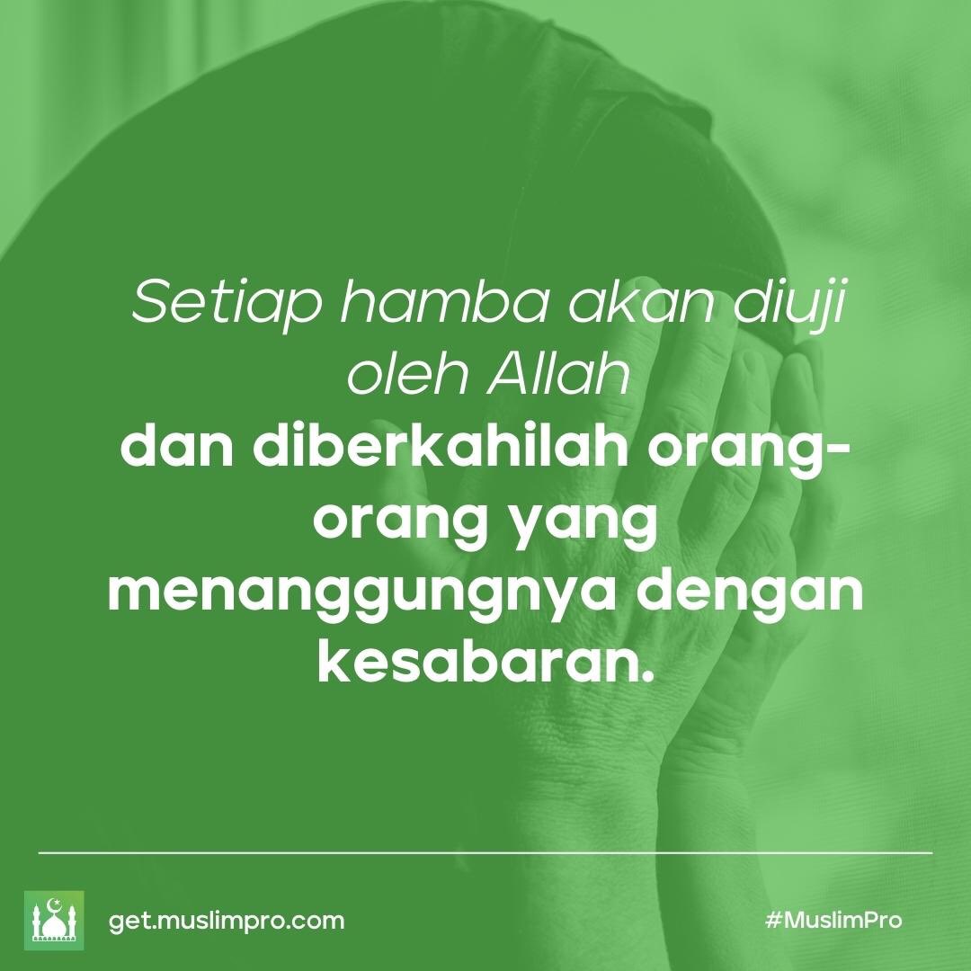 MDhani_Hasan's tweet photo. Inspirasi Harian dari #muslimpro
https://t.co/qtCq8yaDs4 https://t.co/vHCk7EhItV
