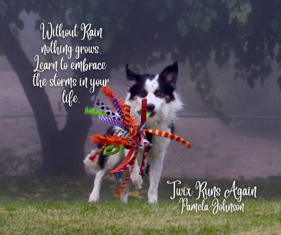 Check out my book!  Twix Runs Again, by Pamela Johnson  Sold on Amazon, B&amp;N, iTunes, and Audible.