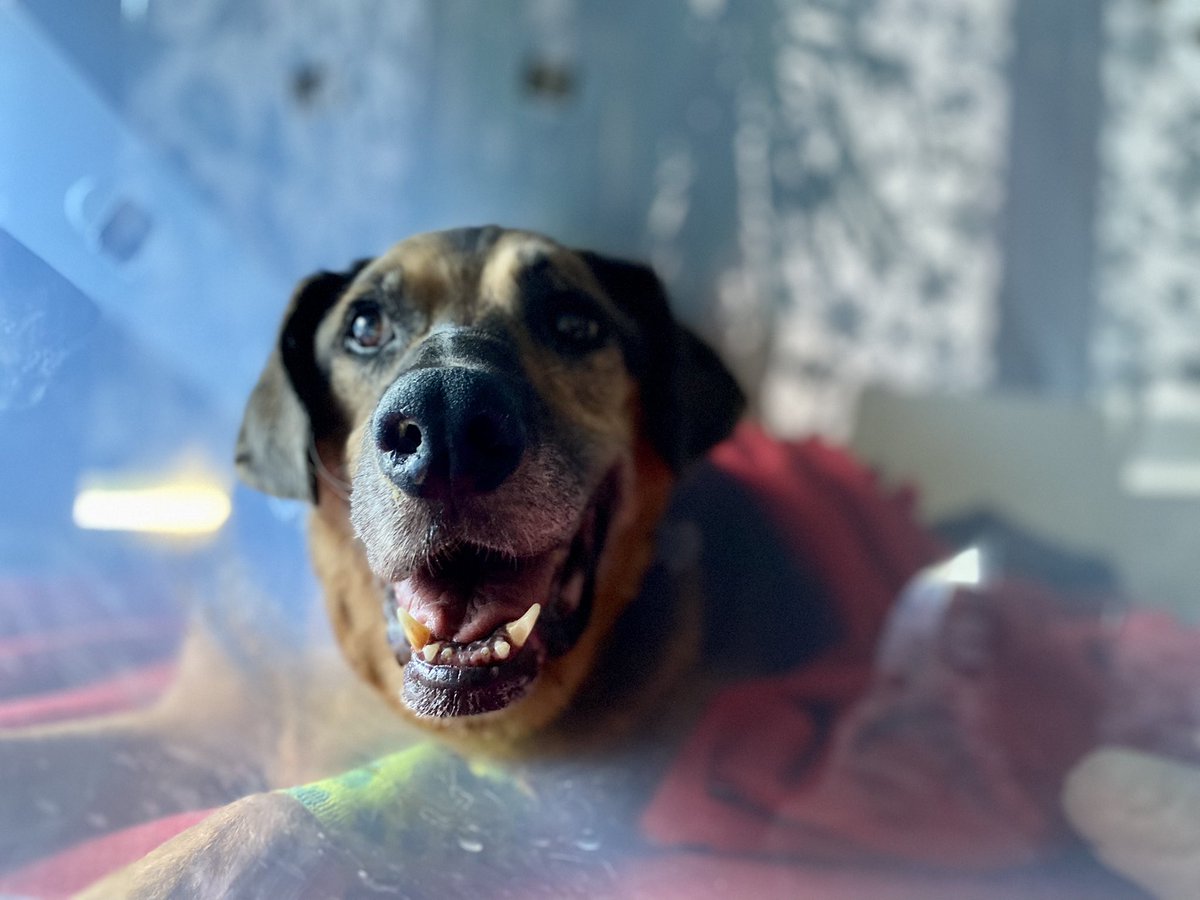 Andrzej z EU 🇪🇺🇵🇱🇺🇦🇮🇱 tweet media