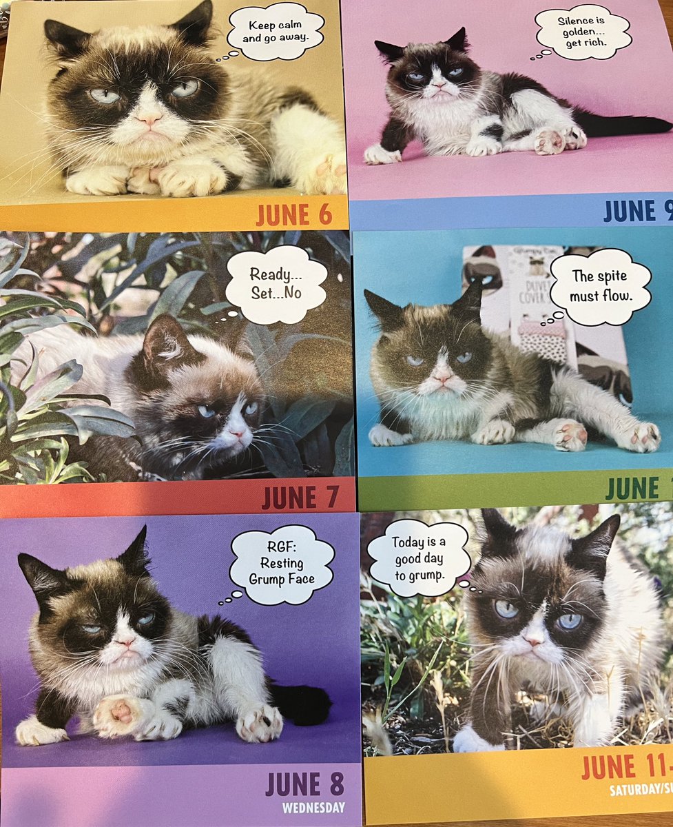 ToreeMcGee's tweet photo. Okay you guys. I was gone and then I just straight FORGOT 😂. So here’s a backlog and today’s was a good one. #dailygrump #grumpycat https://t.co/GG9TgHmQRd