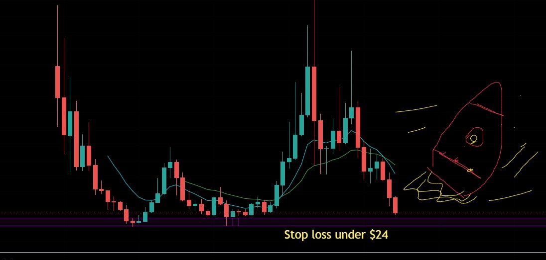 SukMyPaddlez's tweet photo. Litecoin is a potential 1000% gainer. $LTC https://t.co/8HmQGOcYpT