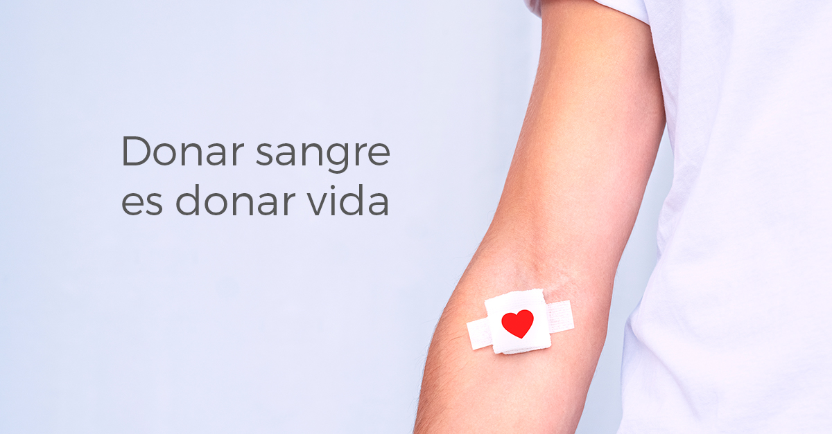 Hoy es el Día Mundial del Donante de Sangre 🩸

Los expertos señalan que nueve de cada diez personas necesitarán una #transfusión de sangre a lo largo de su vida, lo que da una clara idea de la importancia de donar #sangre. ¿Te animas?

¡Donar sangre es donar vida!🩸

#aristo