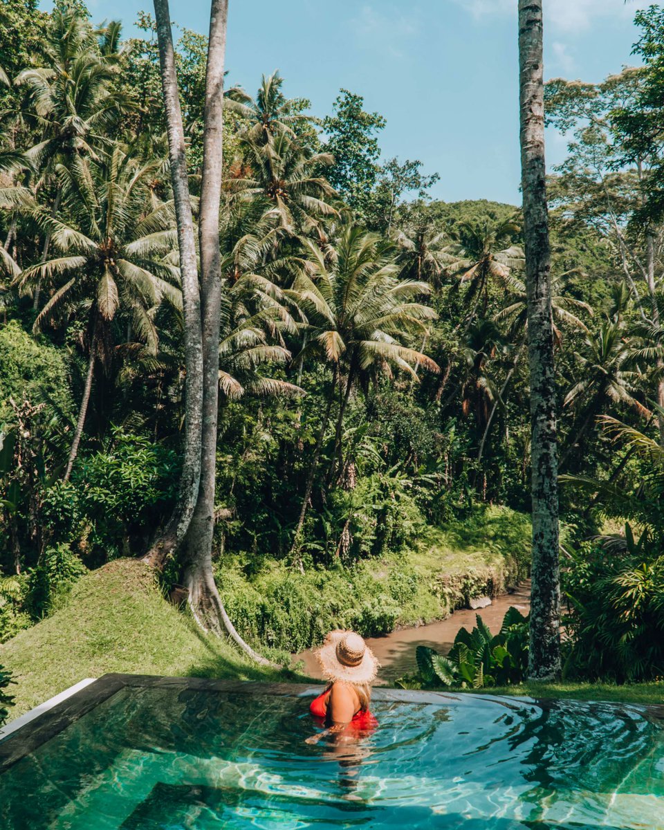 RepOfRose's tweet photo. Looking for a luxury resort in #Ubud on the tropical island of #Bali? In this #FourSeasonsSayan review, I’ll share all the details about my stay at this five star #FourSeasons getaway!
https://t.co/XnRv3q7zt7 https://t.co/bbPGMcPrwh