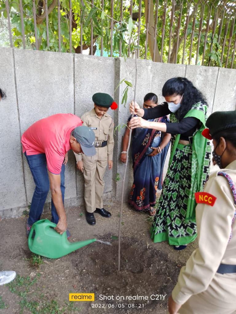 nsjn_ss's tweet photo. Tree plantation https://t.co/1xtDt8PDjF