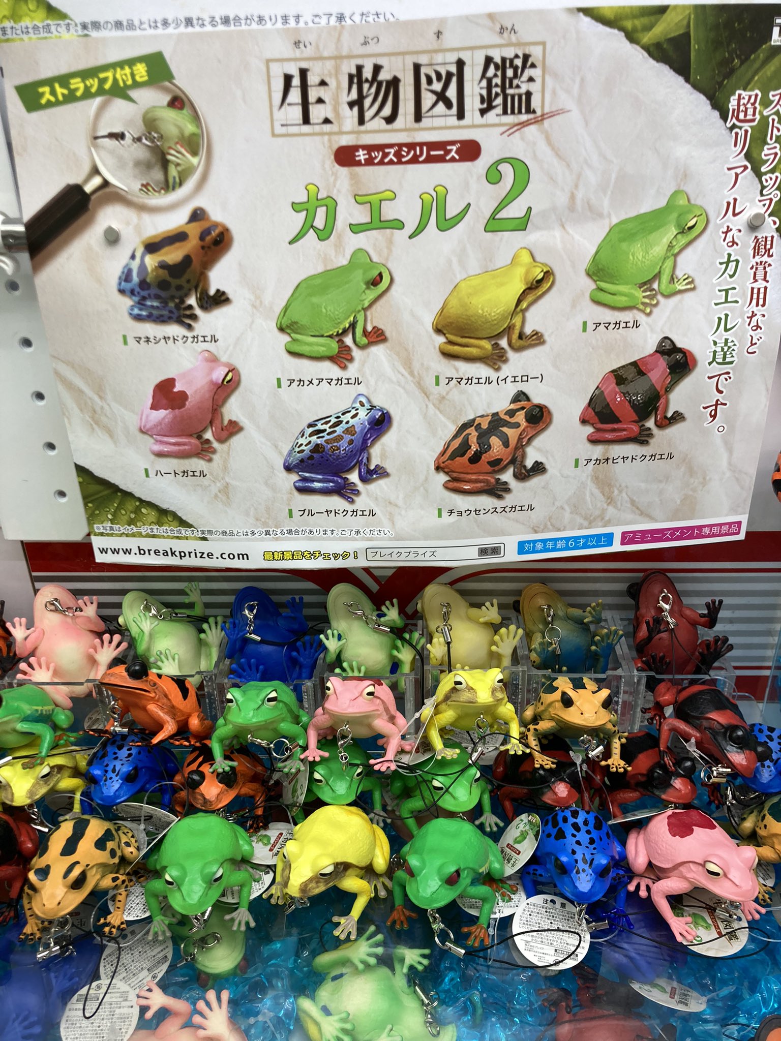 かえる様 〜専用〜 【30％OFF】 www.esn-spain.org