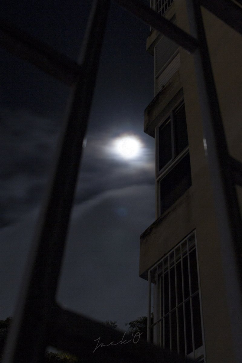 Jack_O79's tweet photo. Hoy La Luna desde acá se lleva un gran lugar en el cielo nocturno🌕 !!! #CryptoPhoto #NFTPhoto #FullMoon https://t.co/FKJV0damL5