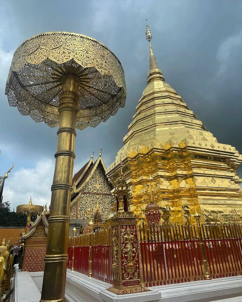 Ronald Bos tweet media