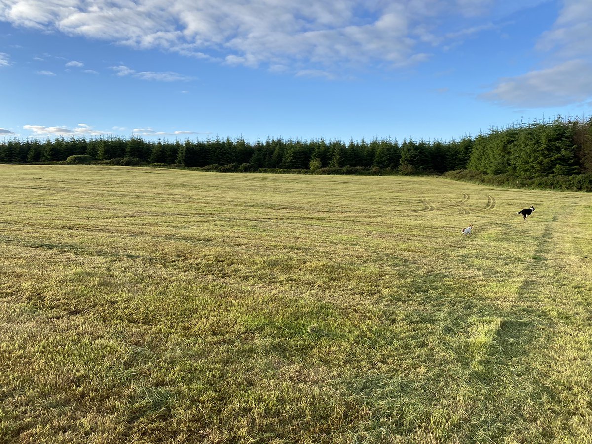 fimalone1 tweet media