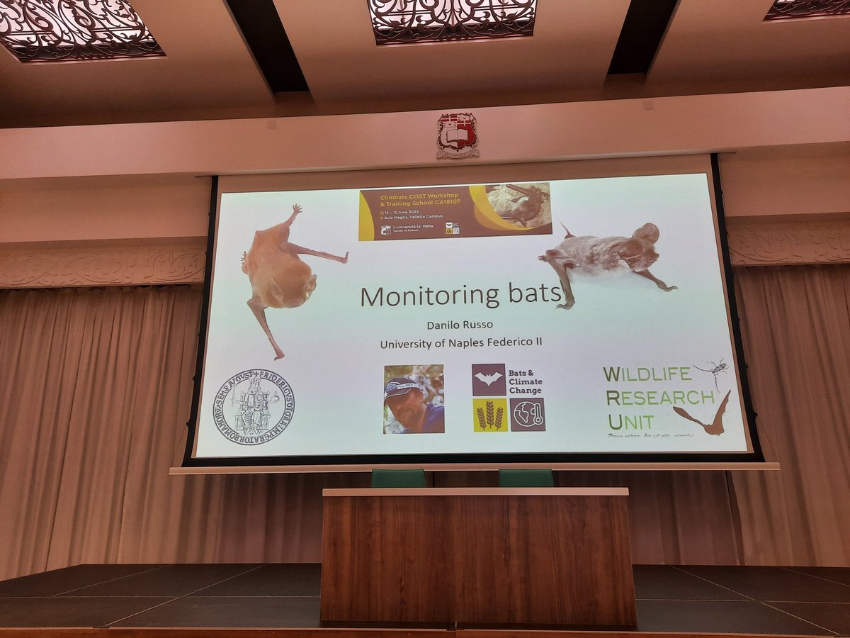 MartaFalzon's tweet photo. First day of the #CLIMBATS workshop and training on monitoring #bats and #climatechange in Malta 🇲🇹 🦇 https://t.co/D4559VCg80
