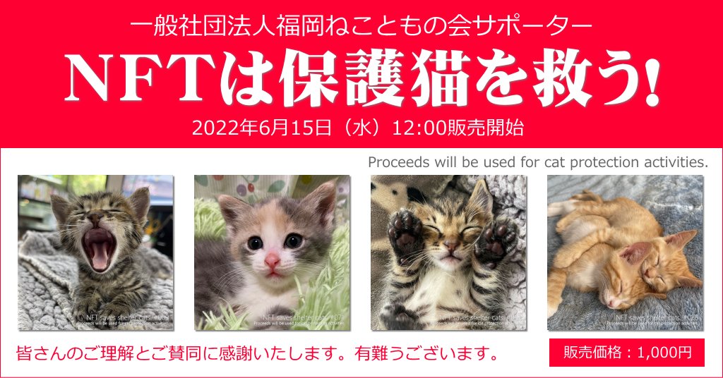 明日6/15 12:00から保護ネコ活動の為のNFT販売開始するヘキ。
nft.hexanft.com/users/4h06Ewit…

#HEXANFT 
<a href="/HEXANFT/">HEXA（ヘキサ）</a>