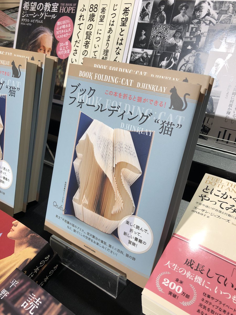 yurindo_ebisu's tweet photo. 『ブックフォールディング"猫"この本を折ると猫ができる！』
D.ヒンクレイ

＃気になる新刊
＃本日入荷　6/14 https://t.co/ouKbAQqWrG
