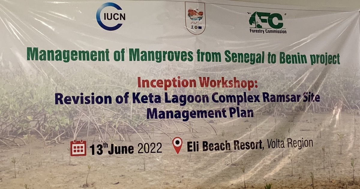 Fisheries_KNUST's tweet photo. The #mangrove research team participated in the inception workshop for revision of Keta Lagoon Complex Ramsar Site management plan. @IUCN_Mangrove @Mangroves @MangrovesNow @Mangrove_UK @bbcampion @BenjiGyampoh @letsu_edem https://t.co/T4R0rTPH22
