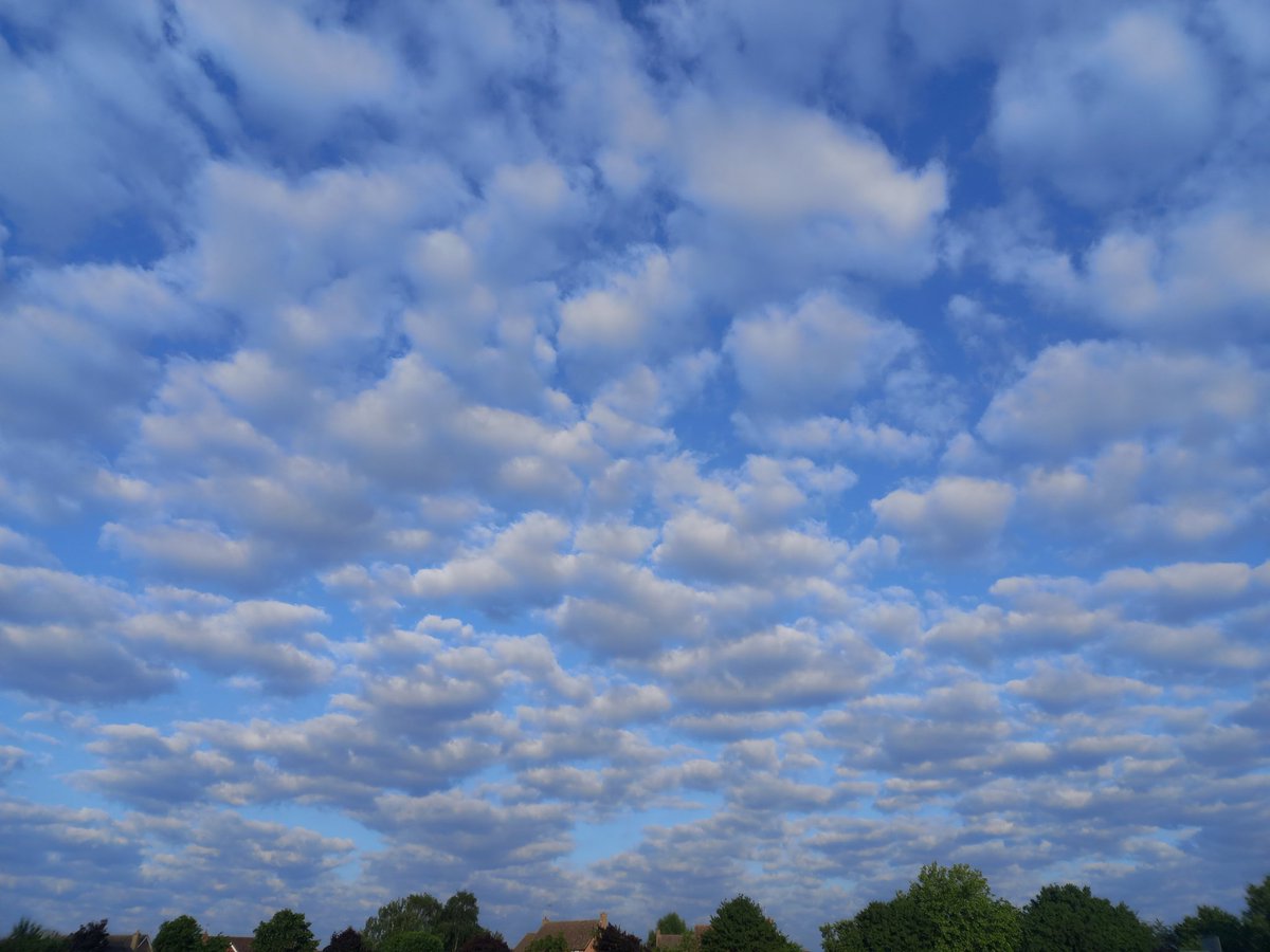 CarolGiles22's tweet photo. @ChrisPage90 @itvweather @WeatherAisling #june #clouds #beautiful #morning #fenskies #fenscene #mepal #fenland https://t.co/VCPwE2SxrR