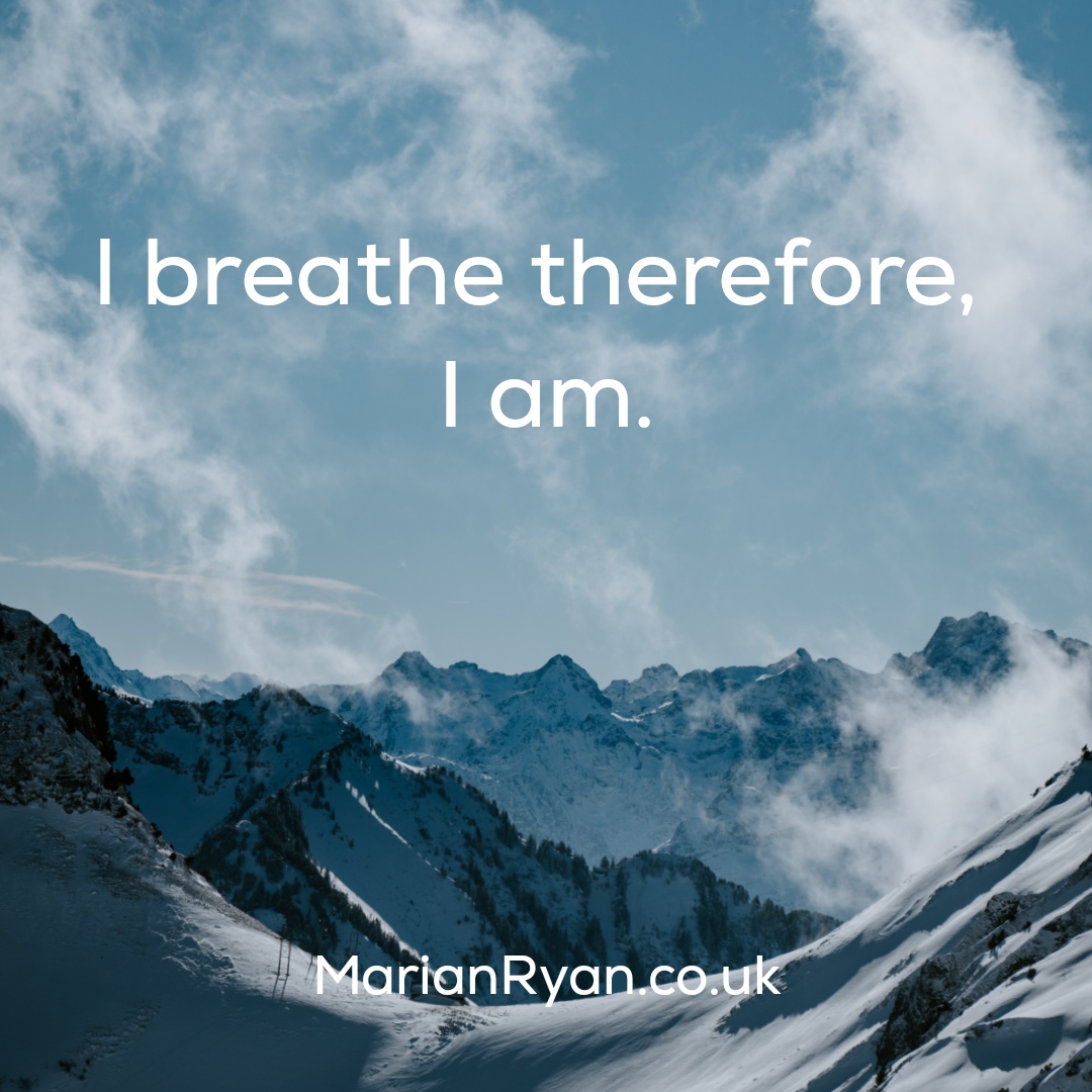 holisticenergy_'s tweet photo. Our very existence depends on the constant ebb and flow of breath. Inhale. Exhale. And repeat. 

#vitalliving #existence #breathe #iam #flow #breath #love #life #light #soul #spirit #heart #hope https://t.co/Ny91meOq1o