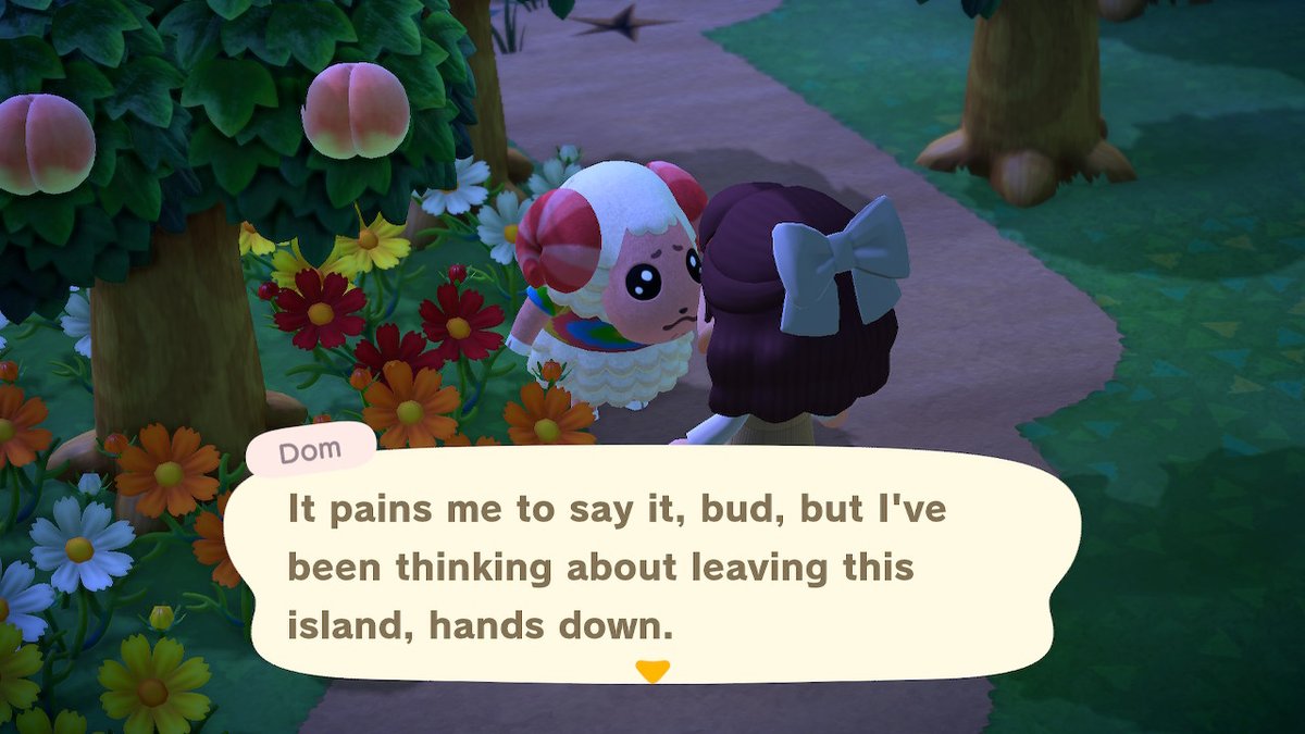 its been 6 months but, i am finally getting dom to move out (':
#AnimalCrossing #ACNH #NintendoSwitch