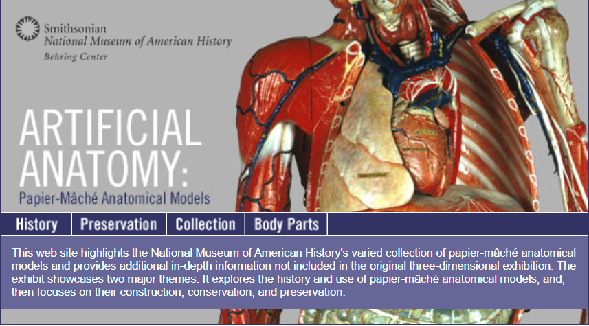 We present you the American Museum of American History's exhibition 'Artificial Anatomy: Papier-Mâché Anatomical Models'. americanhistory.si.edu/anatomy/index.…