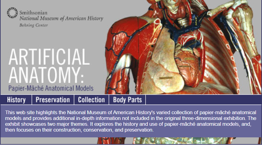 iuhpst_dhst's tweet photo. We present you the American Museum of American History's exhibition "Artificial Anatomy: Papier-Mâché Anatomical Models".

https://t.co/MJVHlP50hb https://t.co/eOosGXasZc