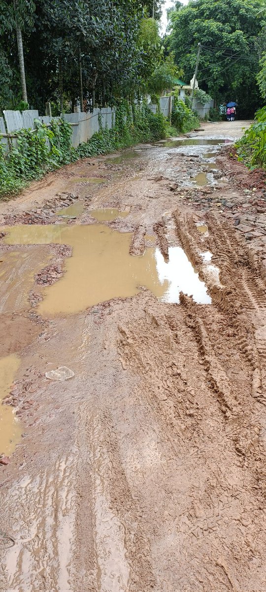 IamSaktipada's tweet photo. @dm_sepahijala
Hi madam, 
Road from Jangalia to Dhakarbari are not in good position, that children, older people, bike and car go through with that, any time accident will happen, Kindly do something https://t.co/AcXfIFpZqt