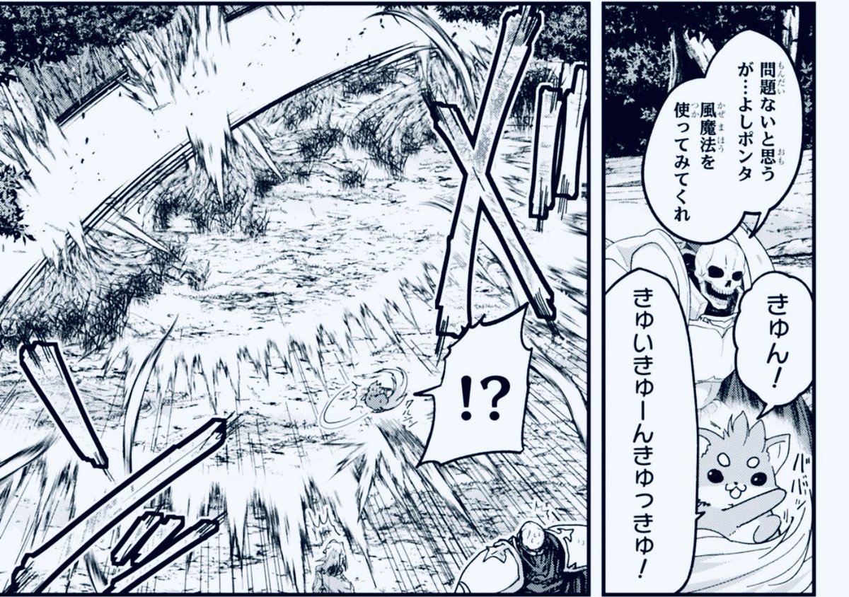 こちらは、ある条件を満たした時のポンタの本気💀🦊
#骸骨騎士様 