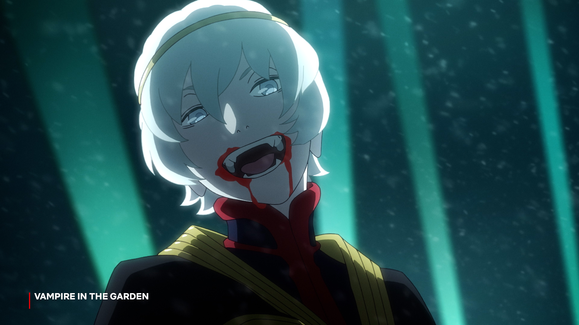 12 Best Vampire Anime You Must Watch  Siachen Studios