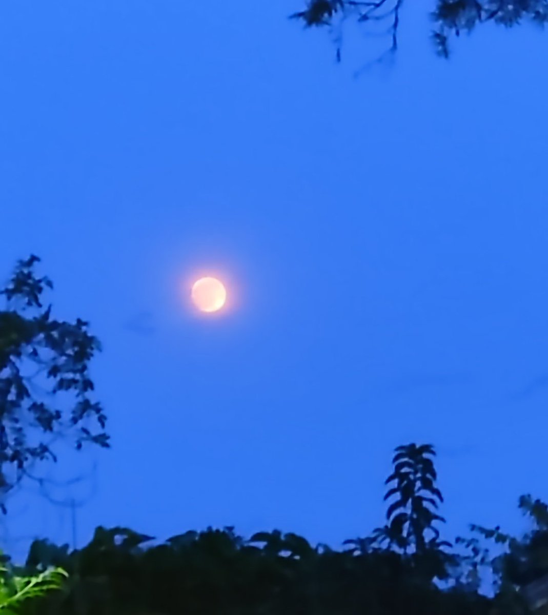 Ur_Dr_Ayush's tweet photo. He met her on life's darkest road ...
Her soul became his moon !
#moon #moonshot #moonquote #quotestoliveby #quoteoftheday #Moonlight #medTwitter #WritingCommunity #poetrycommunity #writerslift #writersoftwitter #photographylovers #PhotoOfTheDay #photography https://t.co/xNlGvhwfCd