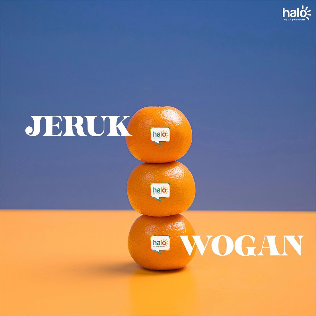 halofresh_id's tweet photo. Hayoooo~ Ada yang tau gak jenis jeruk apa ini? 💭

#halofresh #mydailygoodness #sharegoodness #delivergoodness #oranges #jerukwogan #wogan https://t.co/vTmYcxkNbV