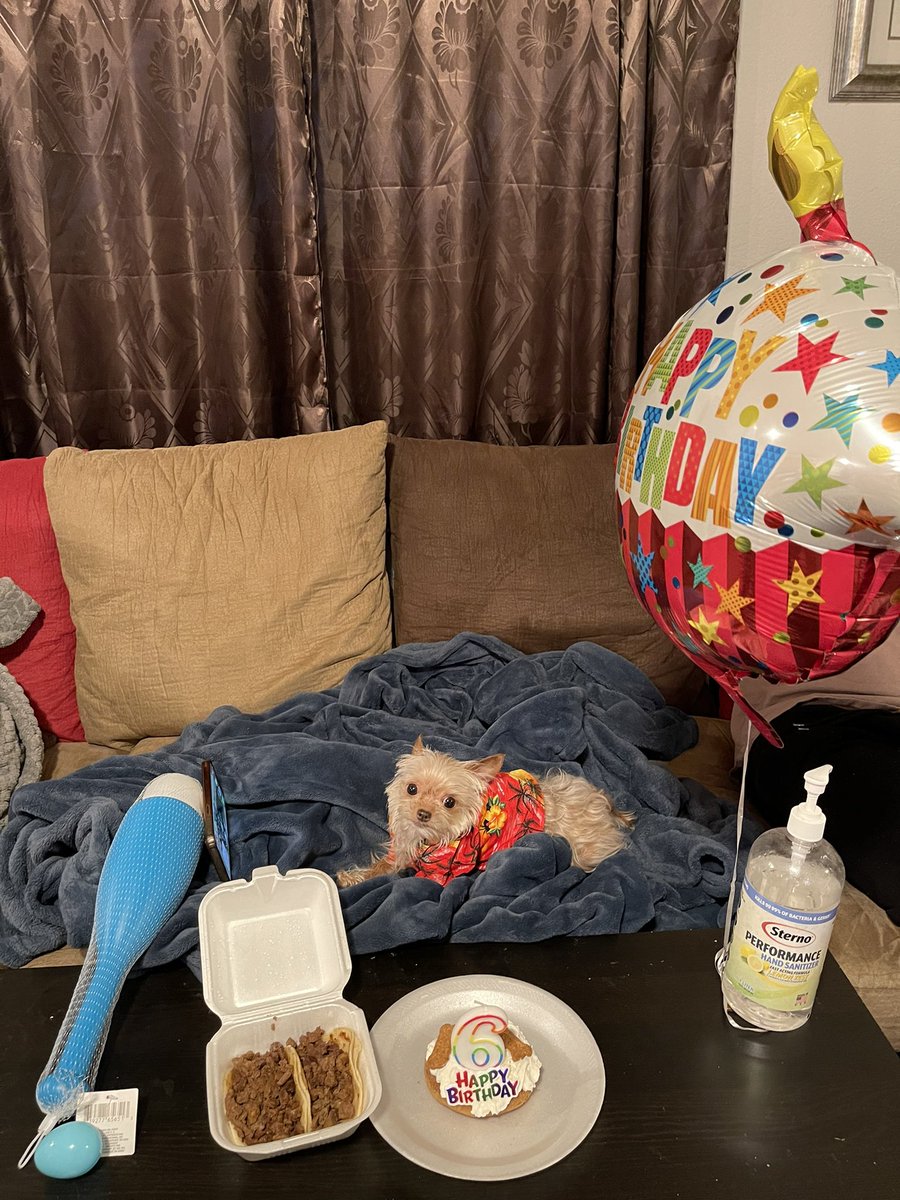 DON1bo's tweet photo. Birthday boy is 6 today 🫶🏼🥹 https://t.co/qaCqGtilRv
