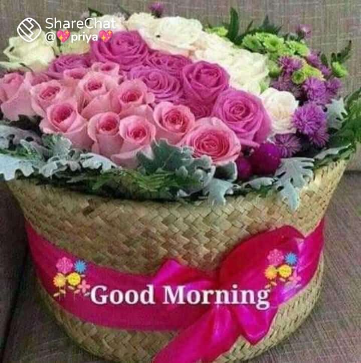 Ni6341C's tweet photo. @Sumon22334450 https://t.co/aSxrnGzWyc