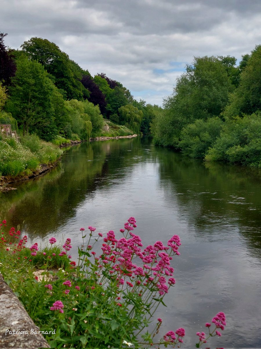 Hi everyone,  a shot of  <a href="/NTTheWeirGarden/">NT The Weir Garden</a> yesterday looking very serene... #gardenphotography #photography #garden  #nature #gardening #riverwye #GardeningTwitter