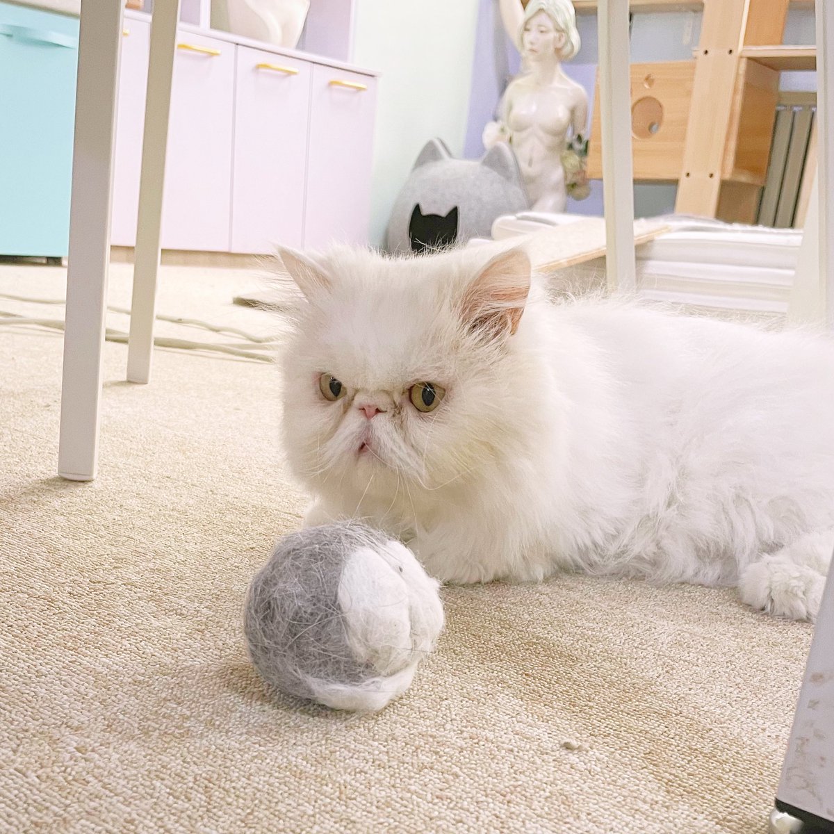 요번주의 터래기 수확😲