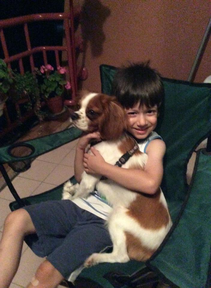 Bu çocuğun adı #OğuzArdaSel❗️

8 Temmuz #CorluTrenKatliamı nda öldürüldü!

Bugün tam 1437 gün oldu.

Adını da yüzünü de iyi EZBERLE!

<a href="/TCDDemiryollari/">TCDD-Türkiye Cumhuriyeti Devlet Demiryolları 🇹🇷</a> <a href="/TCDDTasimacilik/">TCDD Taşımacılık</a> <a href="/aihsanuygun/">Ali İhsan Uygun</a> <a href="/UABakanligi/">T.C. Ulaştırma ve Altyapı Bakanlığı</a> <a href="/BY/">Binali Yıldırım</a> <a href="/ahmetarslan36/">Ahmet ARSLAN</a> <a href="/Mcahidturhan/">Mehmet Cahit Turhan</a> <a href="/akaraismailoglu/">Adil Karaismailoğlu</a> <a href="/adalet_bakanlik/">T.C. Adalet Bakanlığı</a> <a href="/RTErdogan/">Recep Tayyip Erdoğan</a>