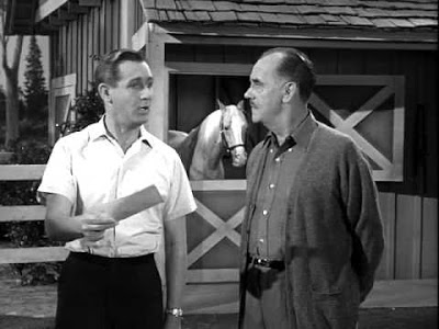 ClassicMovieHub's tweet photo. A horse is a horse, of course, of course... Wilbur, 'Ed' and Roger... #AlanYoung #MrEd #LarryKeating https://t.co/zLXIUYb9gq