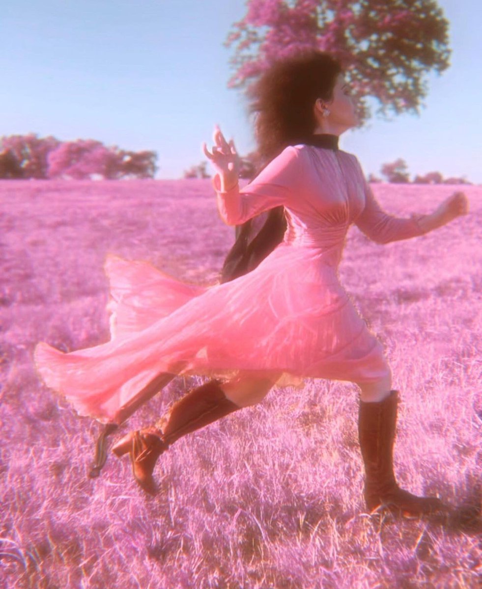 #katebush