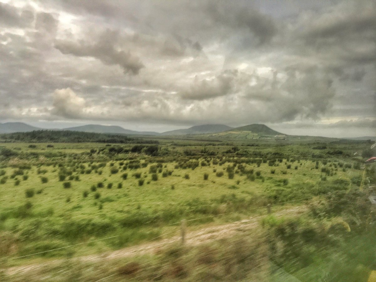 ☘️ Today in Ireland ☘️ tweet media
