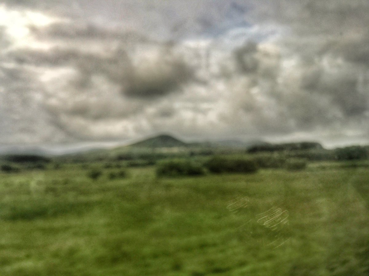 ☘️ Today in Ireland ☘️ tweet media