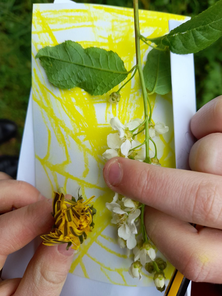 Primary school staff concerned with children's mental health, please consider completing our survey which explores how we can use arts in nature practice and Community Artscapers in schools to support children angliaruskin.onlinesurveys.ac.uk/branching-out-…