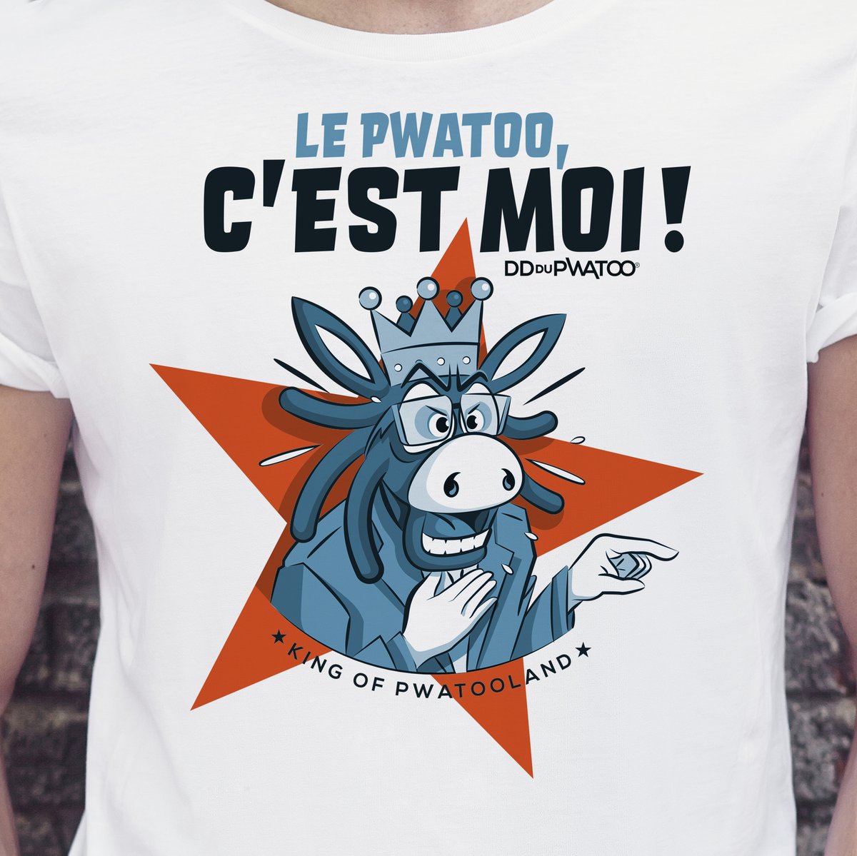 Les élections se succèdent, mais chez nous, y'a pas débat 😜👑#GodSaveTheKing #Poitou #Legislatives2022