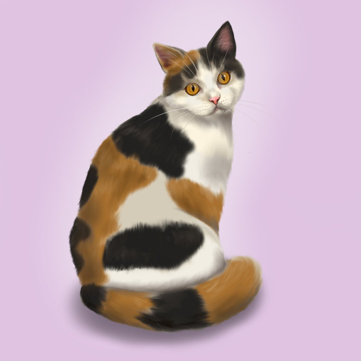 Thank you <a href="/catbitsnft/">Cat Bits 🅁🅅🄽</a> for your support in buying Patches the Calico! 
Just bought 2 CATFOOD tokens from the Catbits Eatery. NFTs in support of cats in need for the win!!🐱
Check out Catbits Eatery and CATTOS on ravenist.com  to support kitties in need.