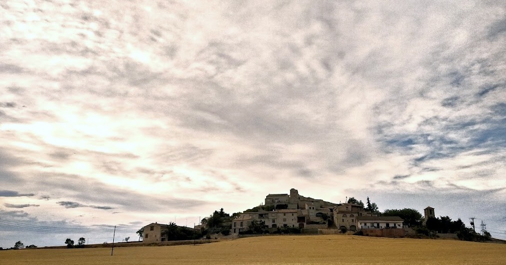 Turisme_Segarra's tweet photo. Durant el dia cau foc 🥵, però, cap al tard, tot passejant per Alta-riba ens arriba la fresca 😃
#Segarrejant #laSegarra #Segarra #Estaràs #Altariba
📸 @MariajosepJove 
@aralleida @catexperience @Alta_riba https://t.co/SitA7u8Sok