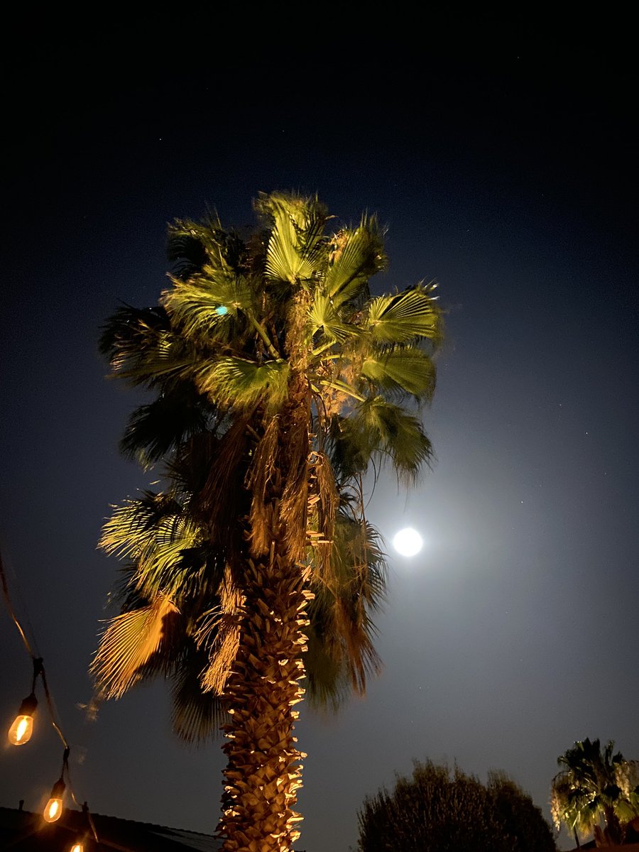 lanilou0402's tweet photo. writing poetry about the full moon and how it’s june https://t.co/TISpCrY2Nh
