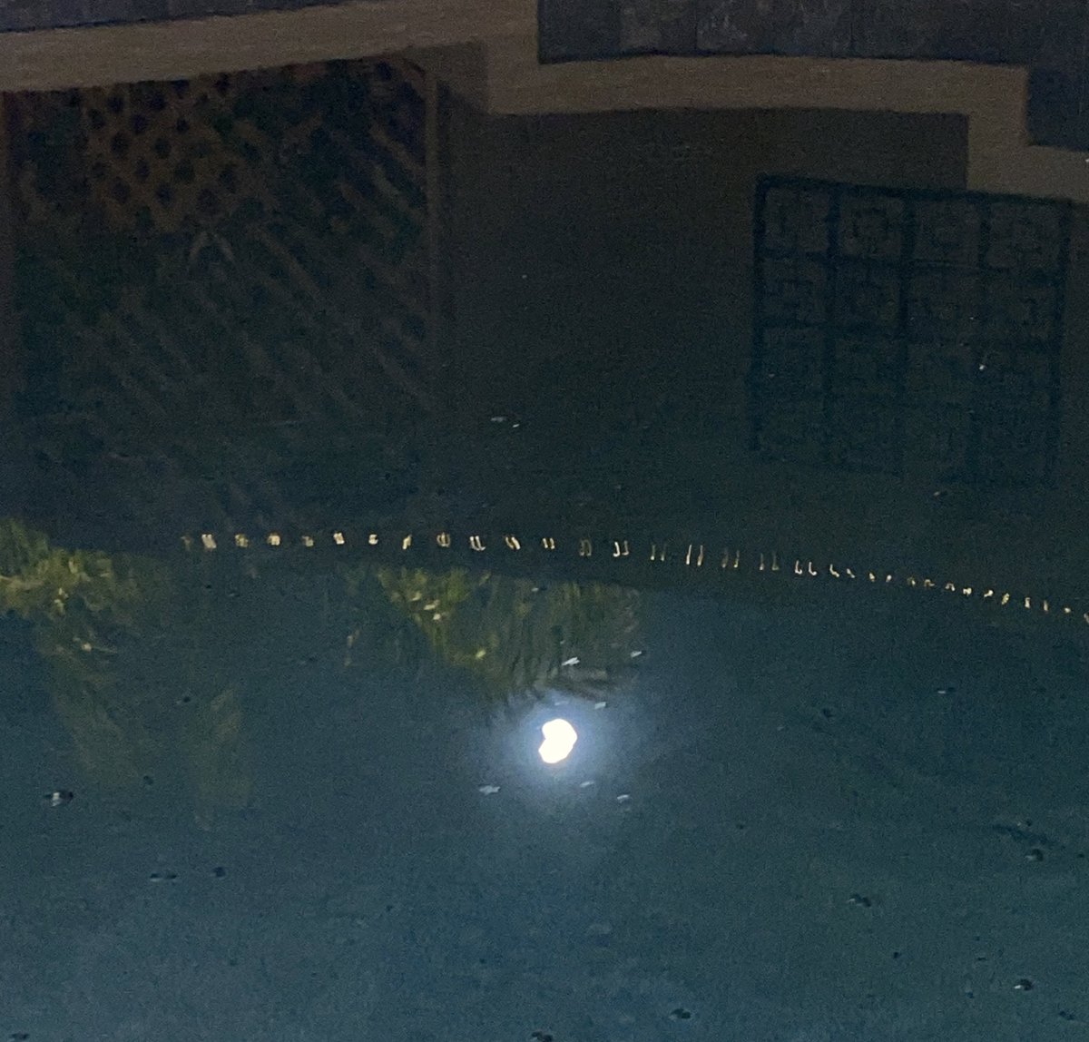 lanilou0402's tweet photo. writing poetry about the full moon and how it’s june https://t.co/TISpCrY2Nh