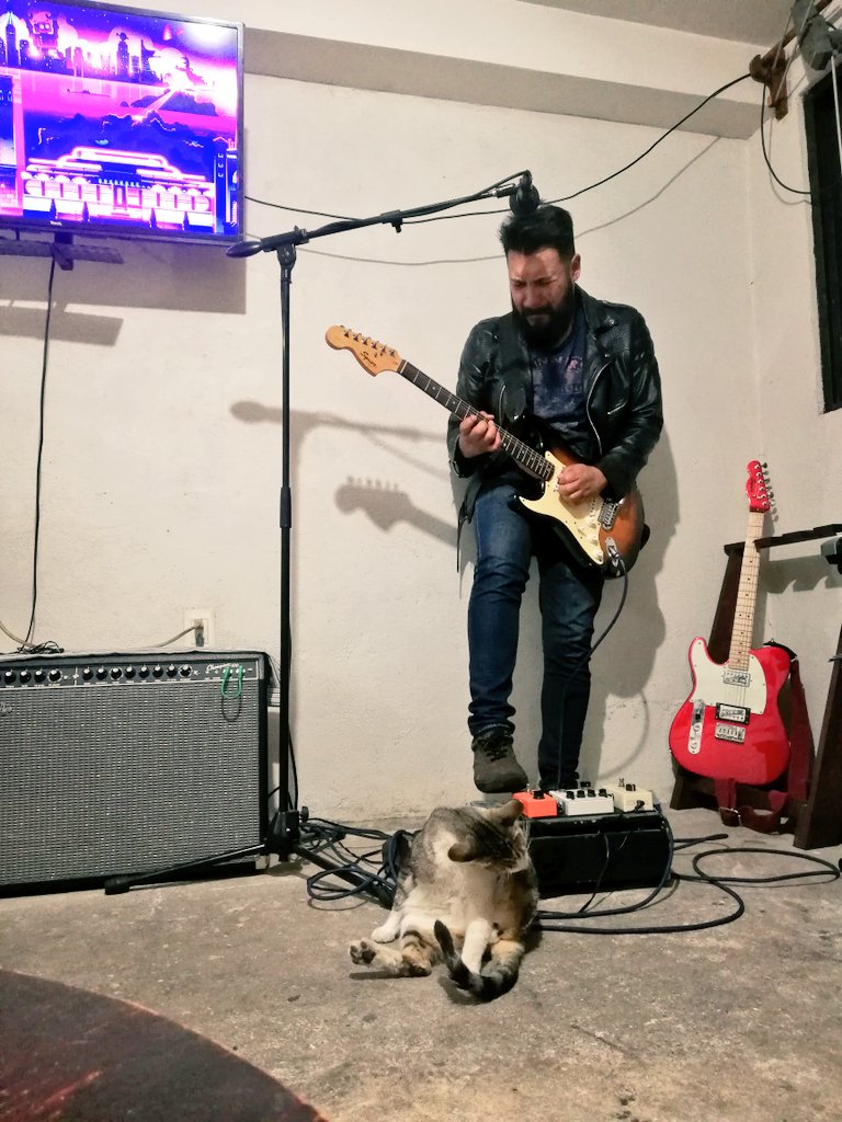RickMoralezMx's tweet photo. Cat https://t.co/oH8mnIYMaI