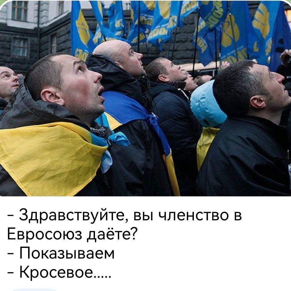 лох на украинском. лох на украинском. украинцы лохи. хохлы лохи. зеленский владимир я не лох.