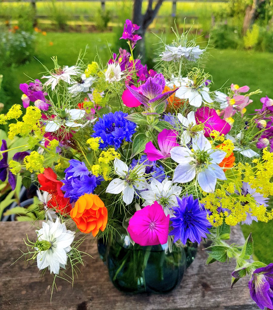 bloominplants's tweet photo. Freshly picked seasonal and local flowers for #britishflowersweek #GardensHour https://t.co/4WYMABmXax