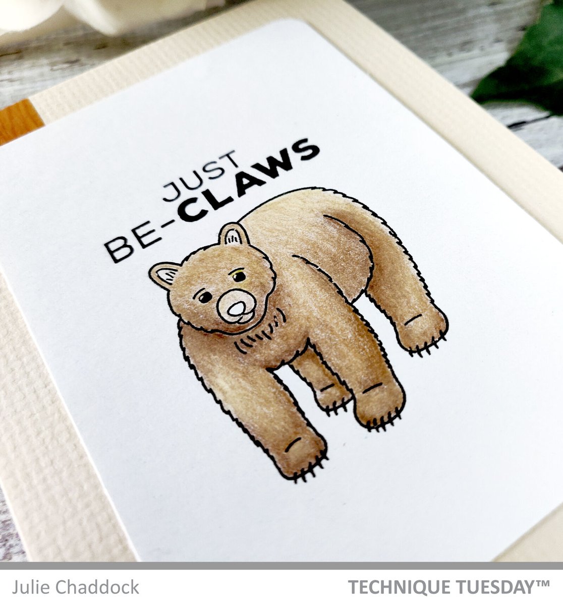 What's the occasion? Who said we needed one to make a card! Whether you're celebrating something special or reaching out to say hi, these Family of Bears stamps and dies are an excellent addition to your card making. Check out more Bears on our website  bit.ly/3GMdXvq