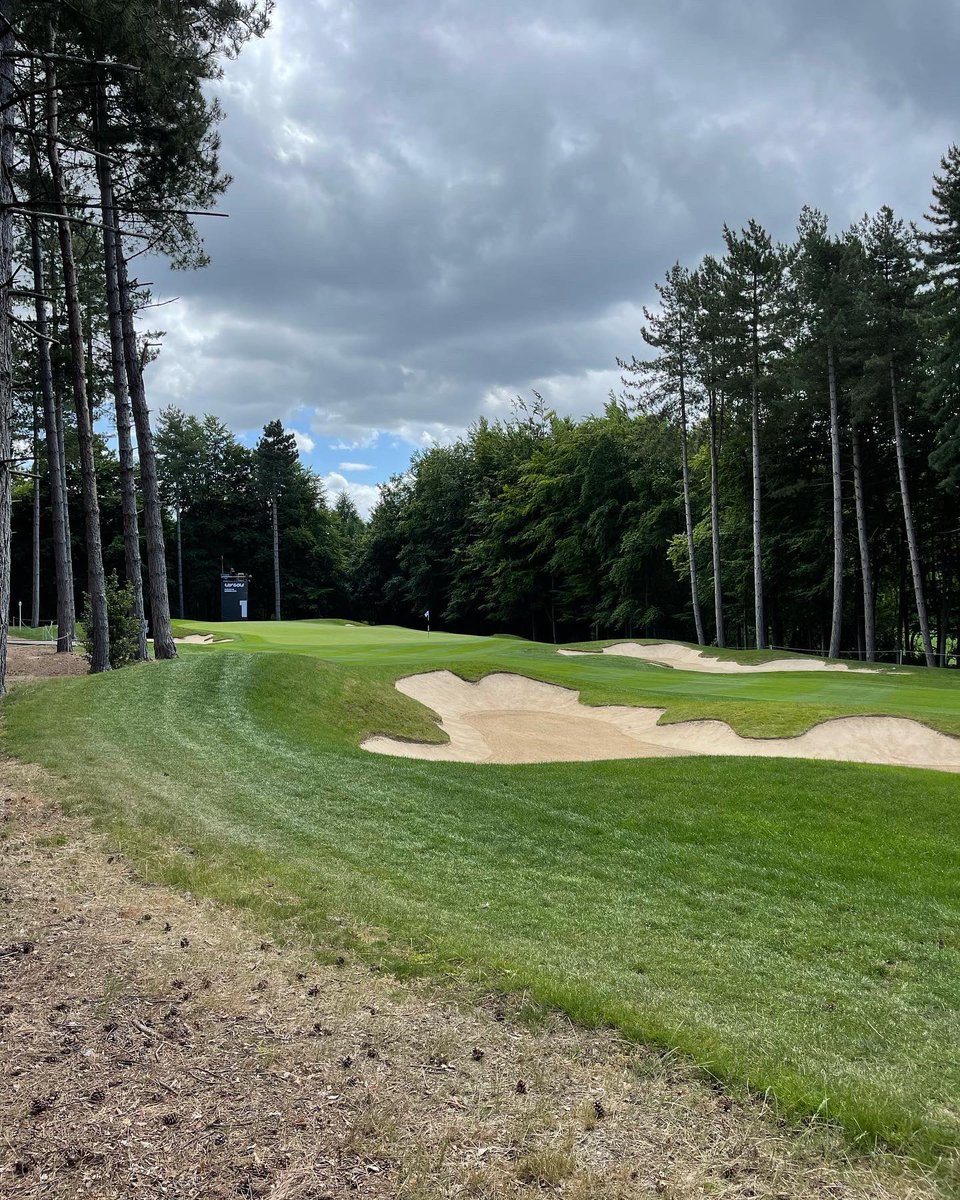 GOLF- Dream vs Reality tweet media