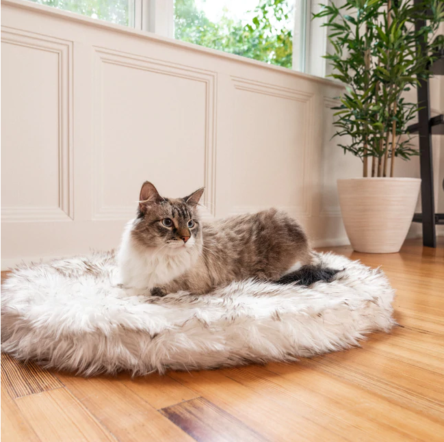 ProductImagine's tweet photo. CatNap™ Faux Fur Orthopedic Bed - White

Reasons to love our cat beds🐰🐰🐰

🅱🆄🆈 🅾🅽🅴 🅷🅴🆁🅴---> https://t.co/87k1dZ0c7I

#kitty #cat #animal #petlovers #petcare #petservices #petbed #petfood #petindustry https://t.co/FhgoJVw0KZ